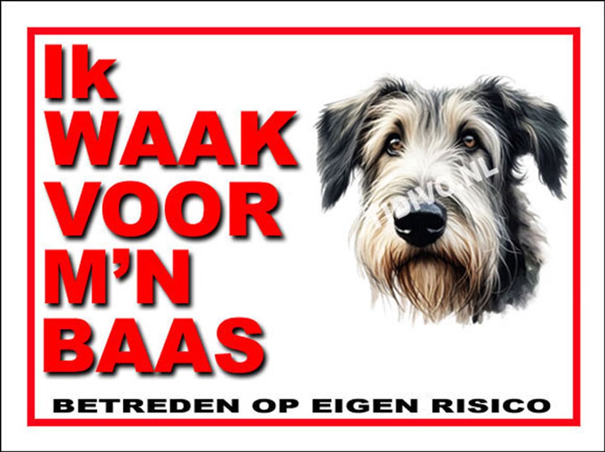 Ierse Wolfshond 9