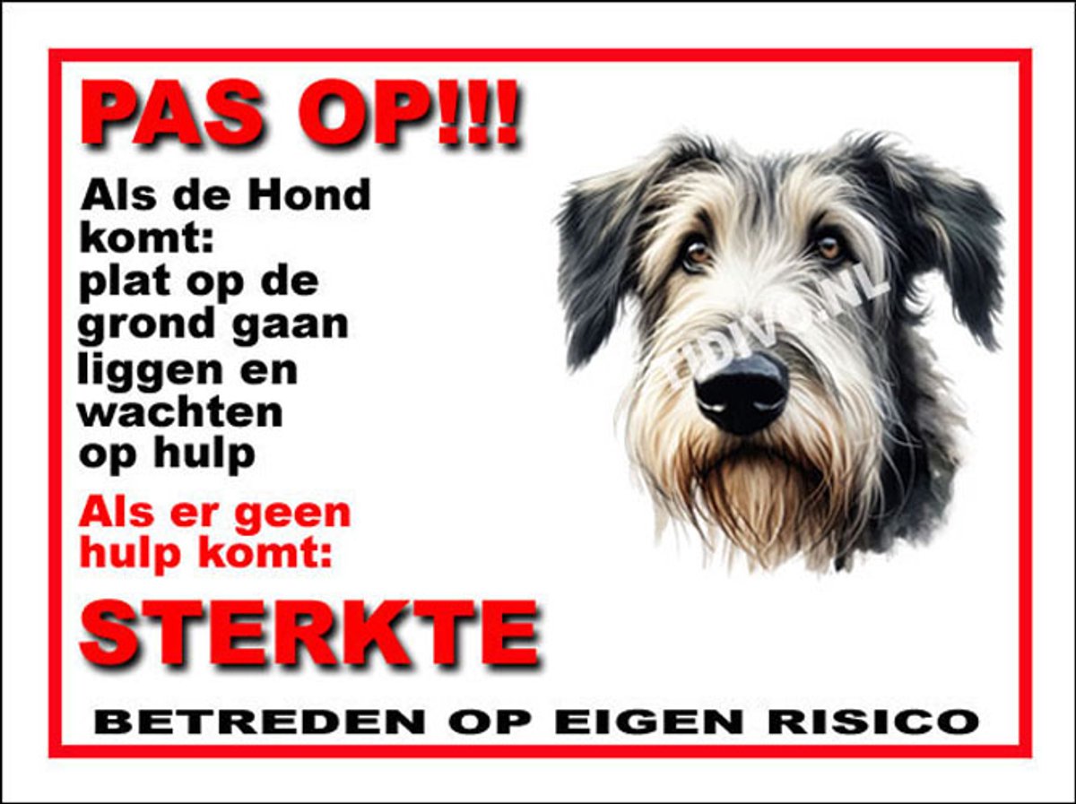 Ierse Wolfshond 12