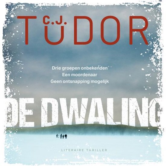 De dwaling - cover