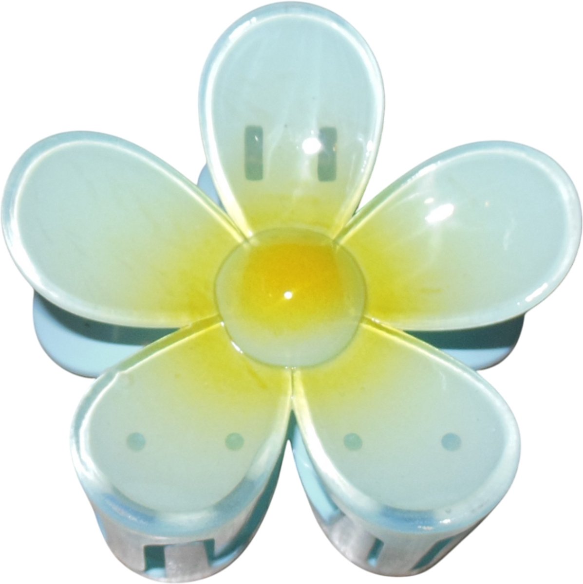 1 Haarklem bloem lichtblauw-geel