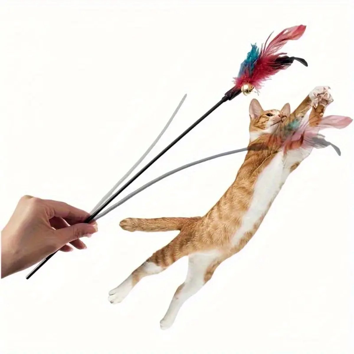 TIAKI Telescoop-Kattenhengel met Veren voordelig online bestellen TIAKI Telescoop-Kattenhengel met Veren voordelig online bestellen