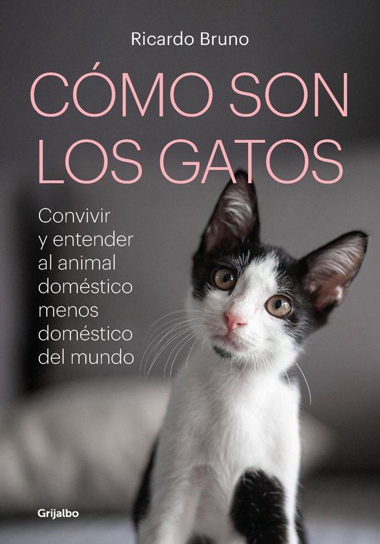 Cómo son los gatos - cover
