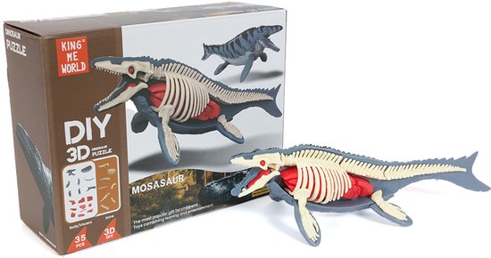 3D Educatief Menselijk Lichaam Torso Model - Doe-het-zelf Montage Spee – Trading Ltd