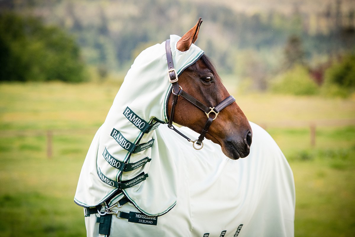 Horseware Rambo Sweet Itch Hoody eczeemdeken paard