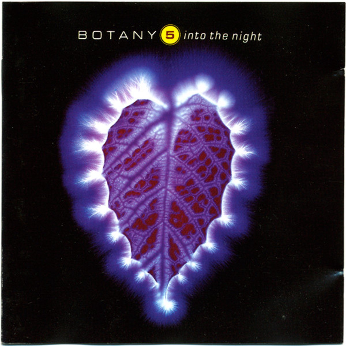 Botany 5 – Into The Night