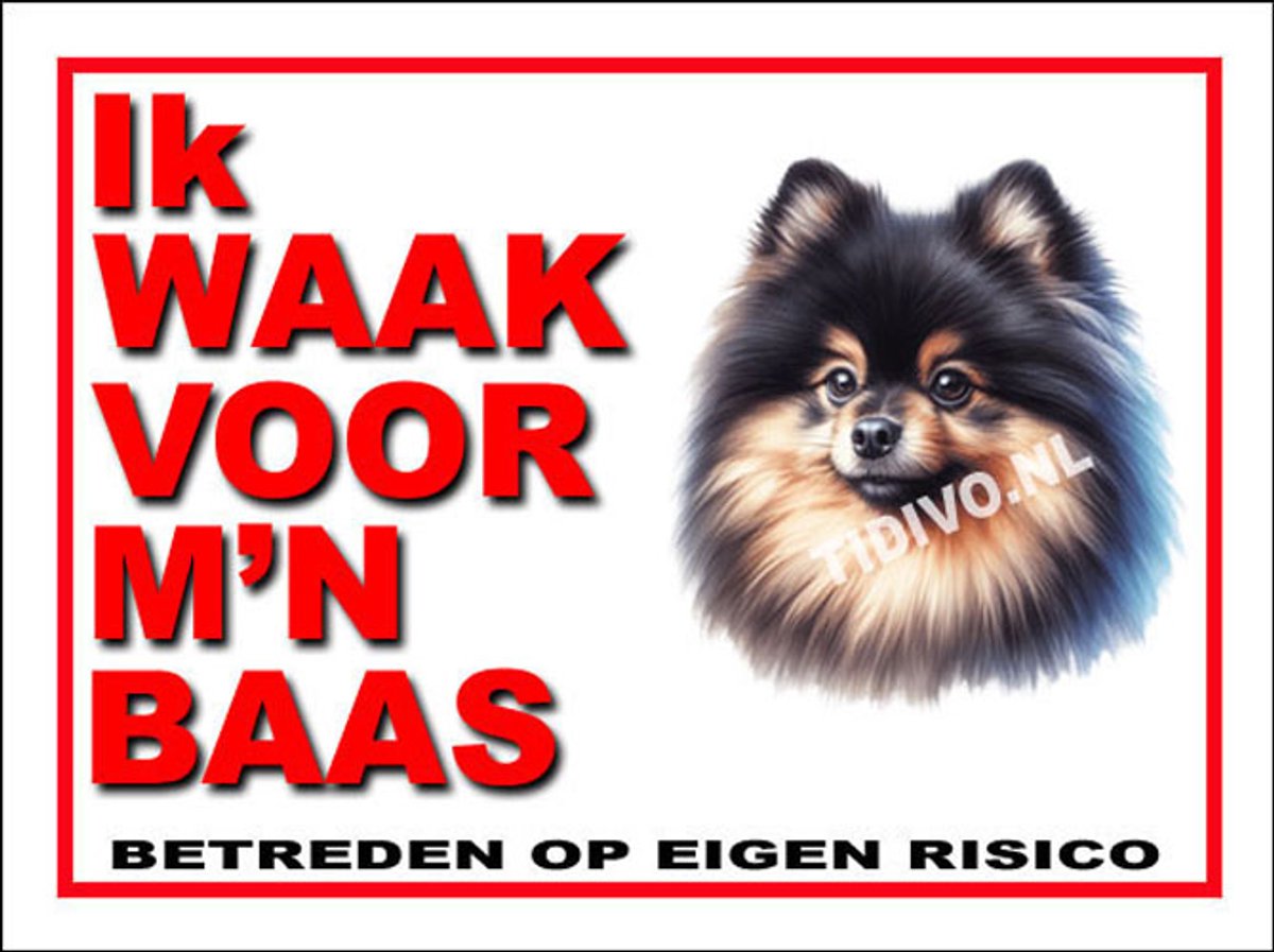 Dwergkeeshond 9