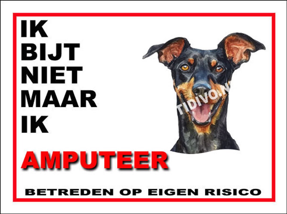 Duitse Pinscher 5