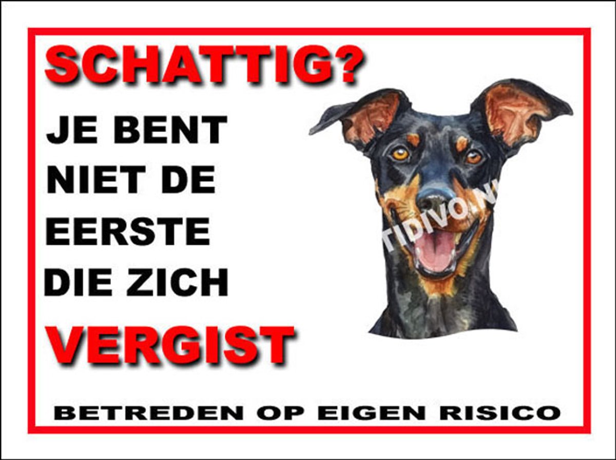 Duitse Pinscher 14