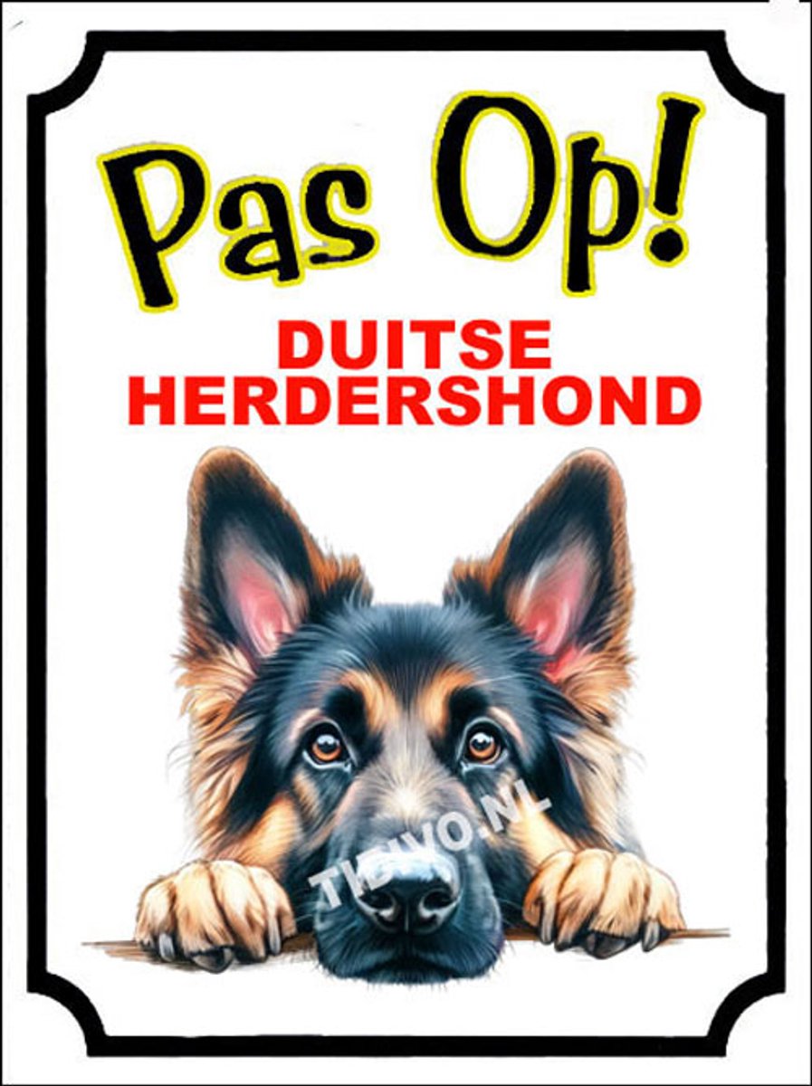 Duitse Herdershond 16
