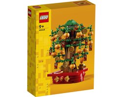 LEGO Geldboom - 40648 Image