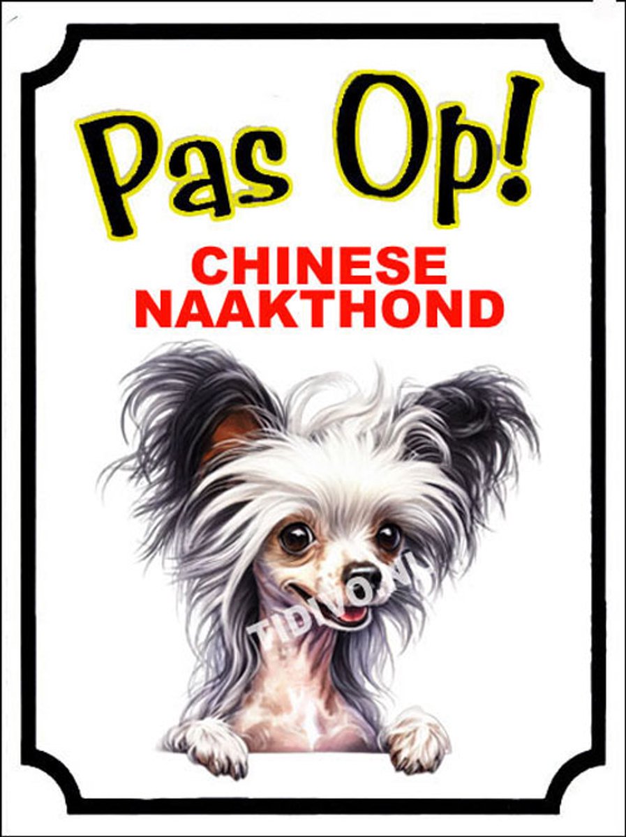 Chinese Naakthond 16