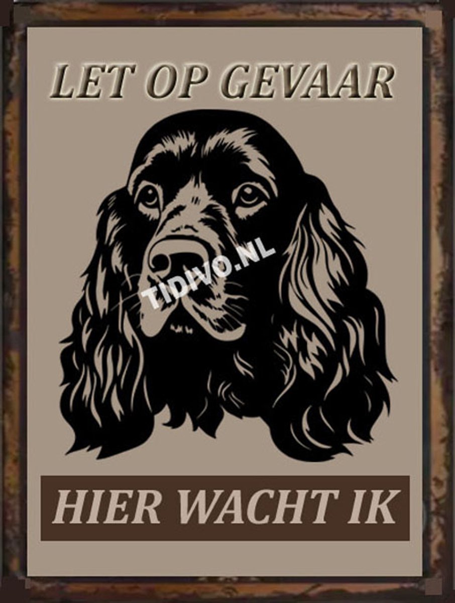 Cocker Spaniel 18