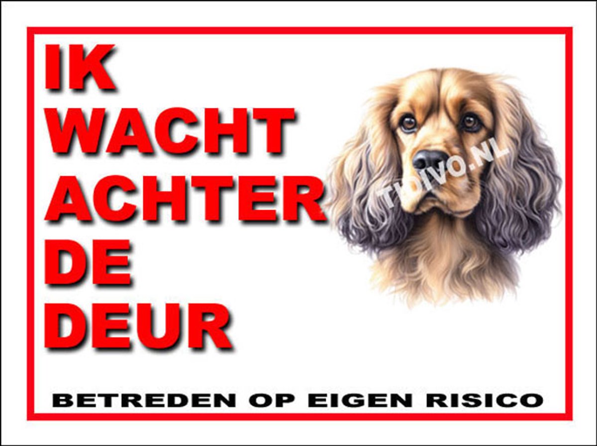 Cocker Spaniel 10