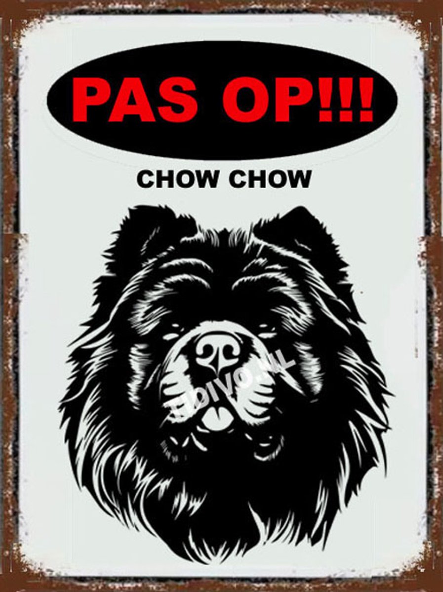 Chow Chow 17
