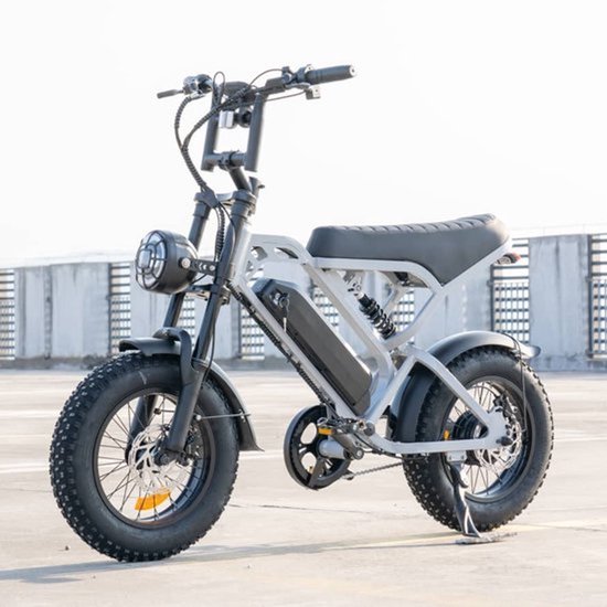 V20 Mini Fatbike – Elek...