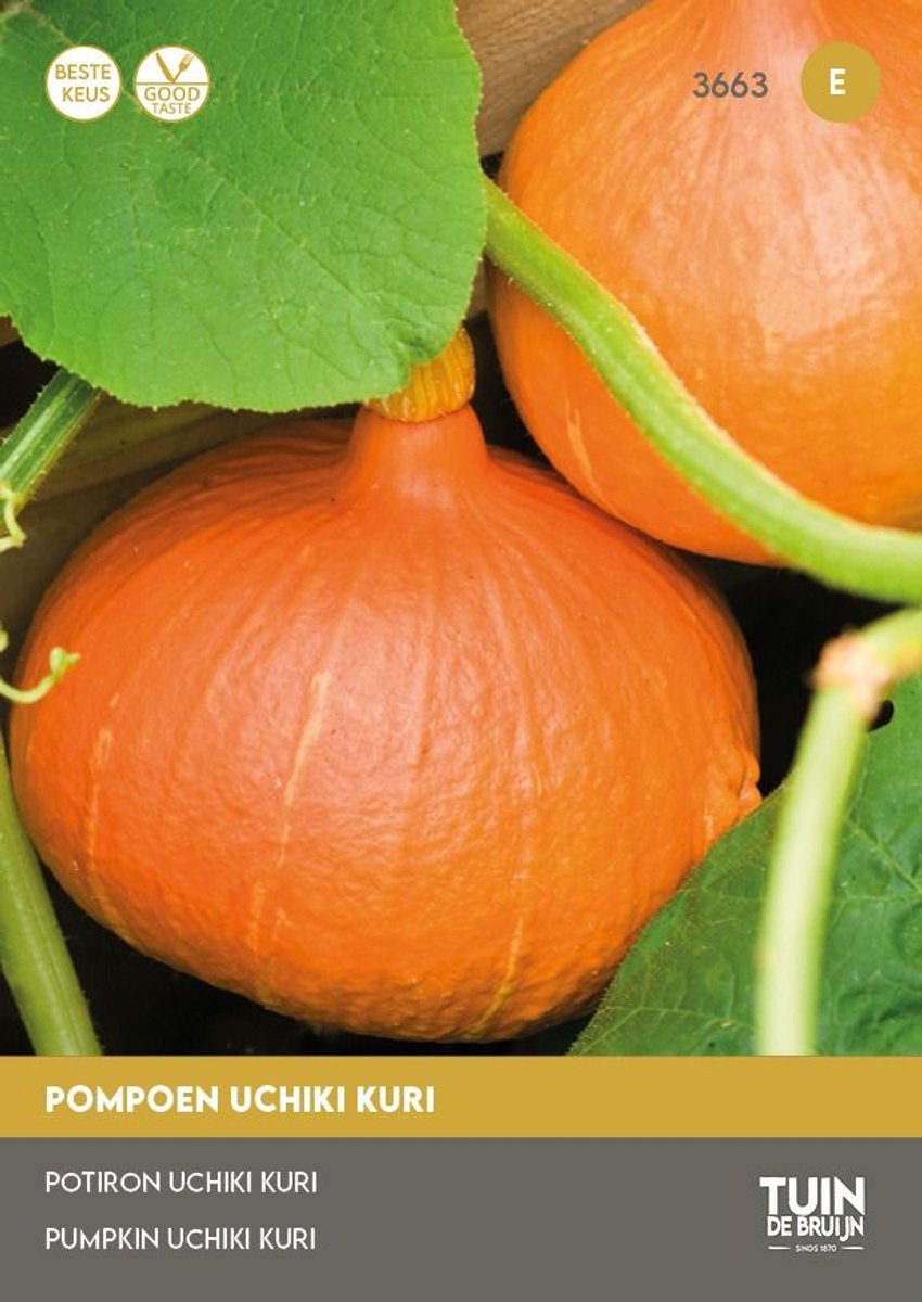 Tuin de Bruijn® zaden - Pompoen Uchiki Kuri (Oranje Zon) - geschikt voor consumptie - ook voor de sier - 10 gram zaden