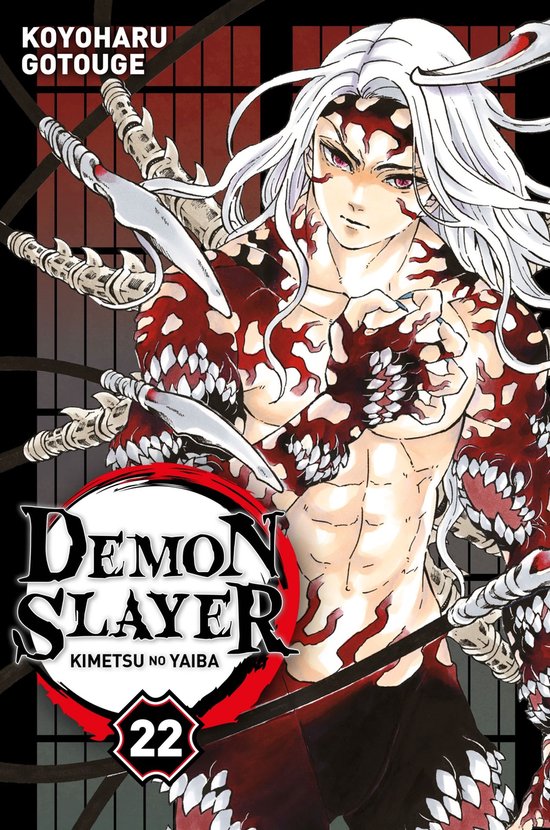 Demon Slayer 22 - Demon Slayer T22 - cover