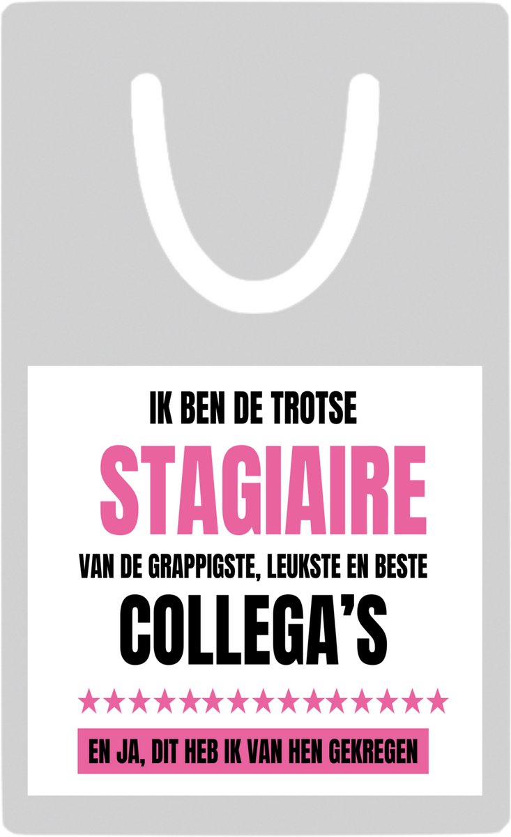 Hacebo® - De trotse stagiaire metalen boekenlegger- Stagiair - beste stagiaire - werk - afscheidscadeau - verjaardagscadeau - kado Bladwijzer boekenleggers - 7.6 cm x 5cm