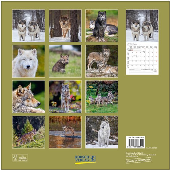 Buying Wolves Calendar 2026 Slimline? Order easily online Buying Wolves Calendar 2026 Slimline? Order easily online
