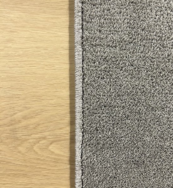 Tapis - Moquette - Grijs - Doux - Tapis fini - Tapis 80x150 cm - Moderne - Salon - Chambre - Salle à manger
