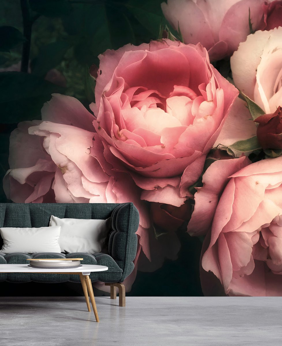 Fotobehang rozen in crème roze