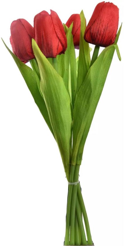 Tulp - Boeket - 7 Stuks - 35 cm - Rood
