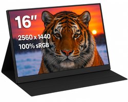 Portable Monitor Flex 16