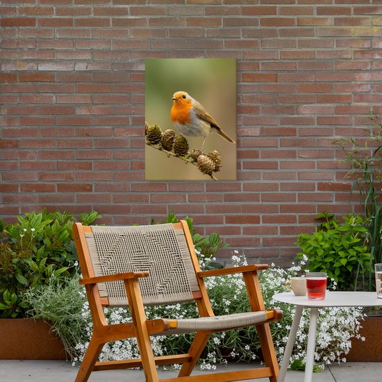 Tuinschilderij voor buiten 50x70 cm - Tuindecoratie Vogel - Roodborstje - Dennenappel - Tak - Herfst - Tuinposter op canvas - Tuin muurdecoratie - Buitenschilderij decoratie - Schutting wanddecoratie - Buitencanvas