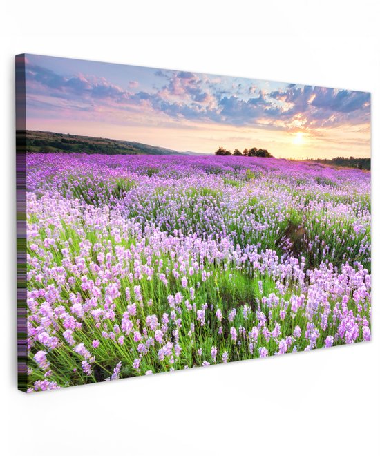 Tuinschilderij voor buiten 120x80 cm - Tuindecoratie Lavendel - Bloemen - Zonsondergang - Paars - Weide - Tuinposter op canvas - Tuin muurdecoratie - Buitenschilderij decoratie - Schutting wanddecoratie - Buitencanvas