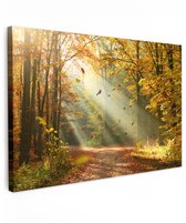 Tuinschilderij voor buiten 120x80 cm - Tuindecoratie Bos - Bomen - Herfst - Zon - Herfstbladeren - Natuur - Tuinposter op canvas - Tuin muurdecoratie - Buitenschilderij decoratie - Schutting wanddecoratie - Buitencanvas