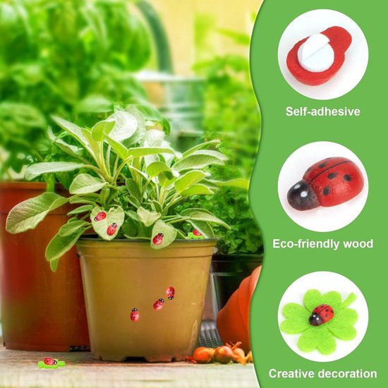 Bloemen & Planten – Viltbloemist-Bloemen-Academie