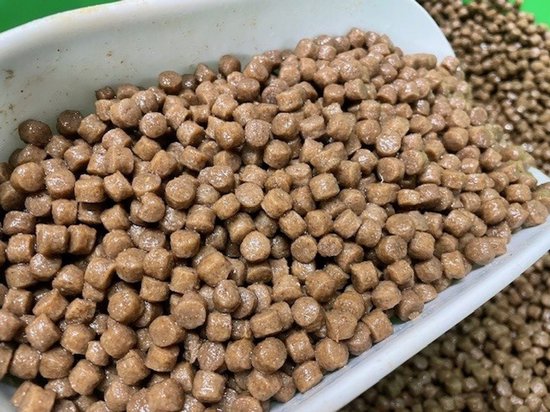 Reniers Fishing Hookable Soft Hook Pellet 6mm - 100gr - Saveur : Chocolat Banane