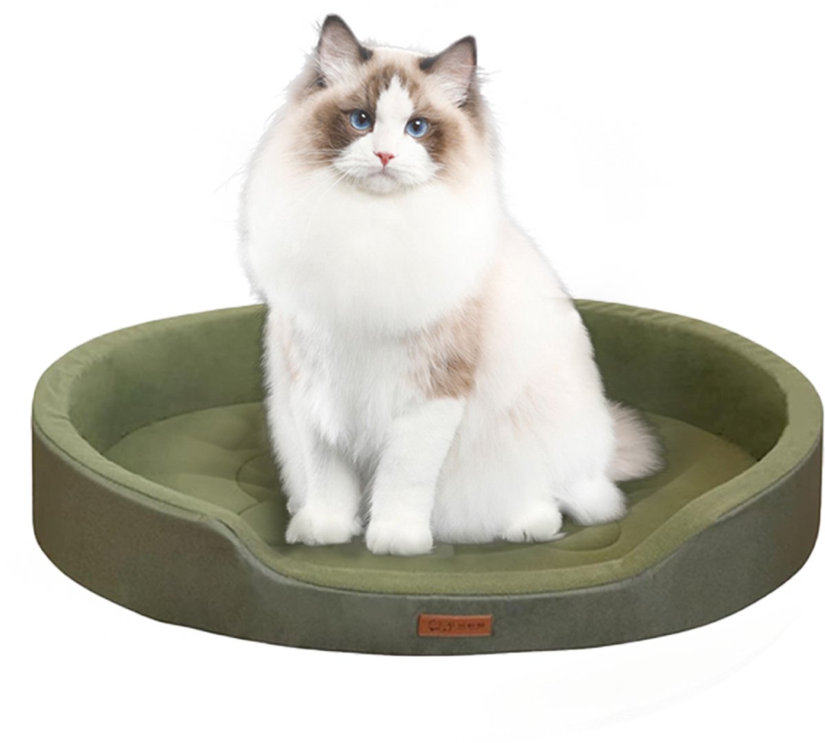 Orthopedisch Hondenbed & Kattenmand - 65x45 cm - Voor Kleine Honden & Katten (tot 10kg) - Waterafstotend & Wasbaar - Met 4-Seizoenen Kussen - Antislip - Groen - Traagschuim Benchkussen met Afritsbare Hoes - Ergonomisch Ligbed voor Puppy
