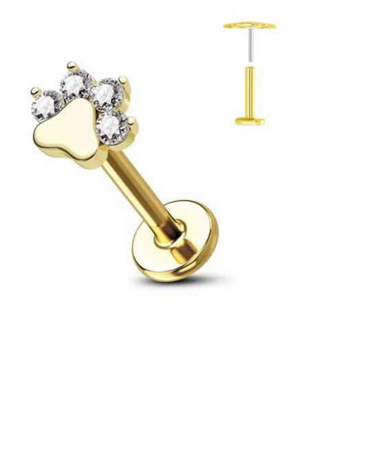 Piercing d'oreille - Couleur : Or - Dimensions : 12 x 6 MM - Titane - Tragus / Cartilage / Helix / Conque - Piercing d'oreille - Bijoux de piercing - Haute qualité - Piercing Labret - Bijoux de Luxe - Boucles d'oreilles