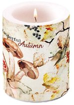 *Candle Big, Wonderful Autumn