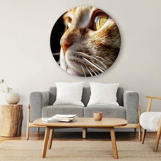 Gedetailleerde close-up kattenoog - Kat schilderij rond - Wandschaal dieren - Hyperrealisme - Forex - Interieurdecoratie kamer - Muurcirkel forex 90x90 cm