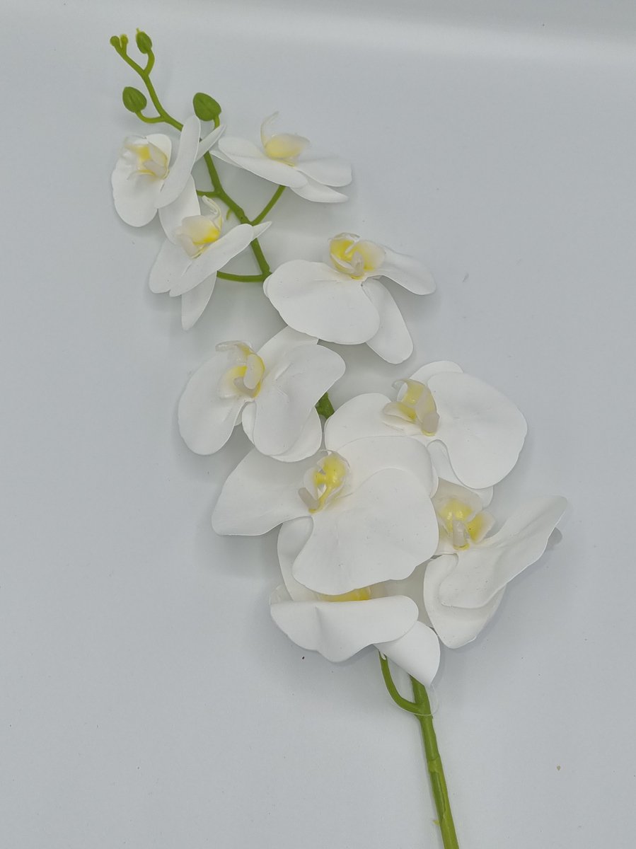 Bomm Orchidee - GK560/26 - 102 cm - Wit - 9 bloemen - 1 tak - Grafdecoratie - Zijdenbloemen - Kunstbloemen
