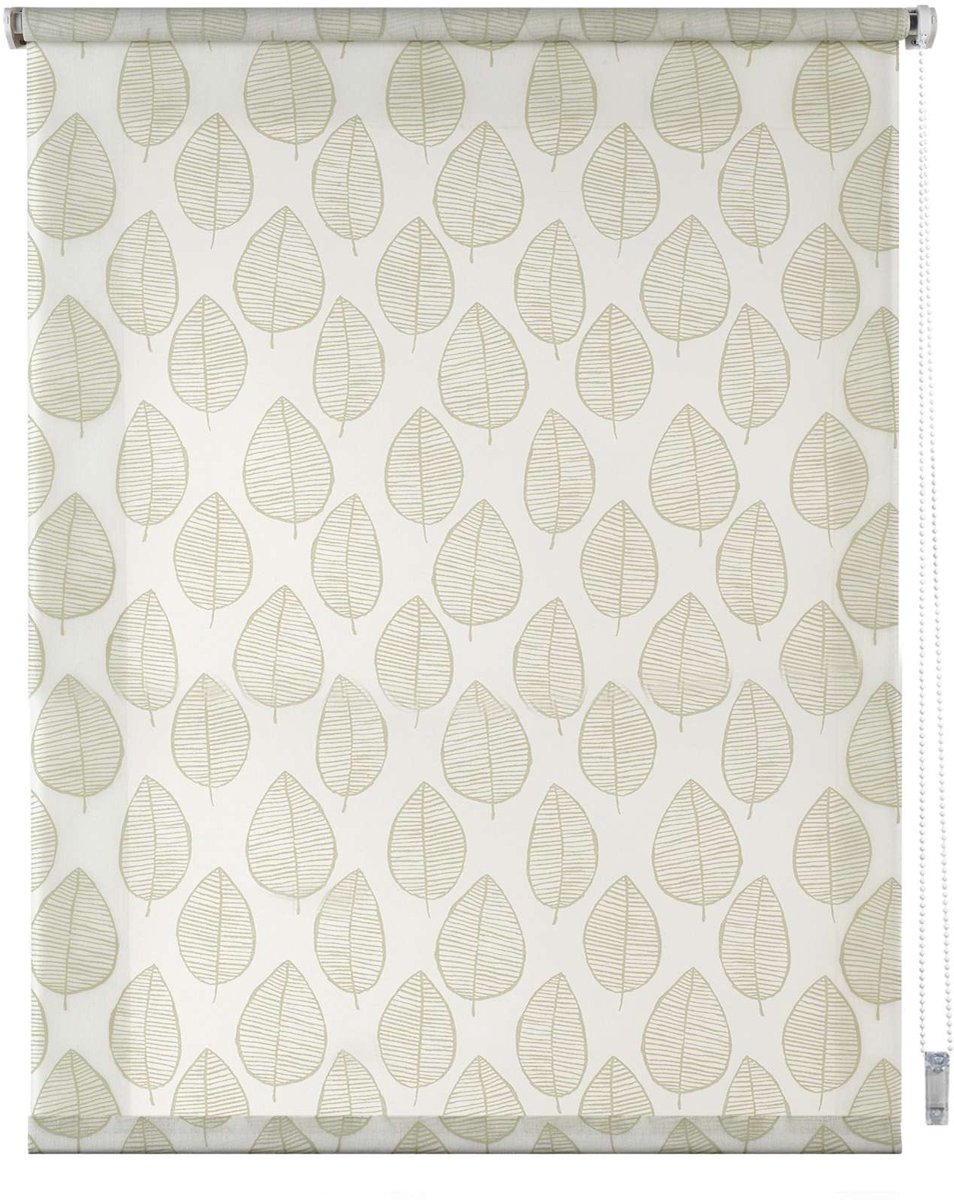 Storesdeco Rolgordijnen met patroon, doorschijnend met natuurlijk groen, 90x180 cm Green