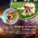 Een chihuahua en een golden retriever spelen met oranje ballen, op een achtergrond van de ruimte.