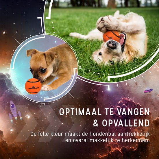 Een chihuahua en een golden retriever spelen met oranje ballen, op een achtergrond van de ruimte.