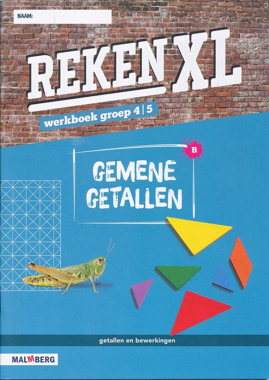 RekenXL Werkboek Gemene getallen groep 4/5 (per stuk)