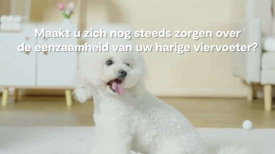 ZoeZo Hondenpuzzel Eend - 2-in-1 Slow Feeder Hond - Beloningsspeelgoed te Vullen met Snacks - Honden Denkspel - Interactief Intelligentiespeelgoed - Hondenpuzzels & Intelligentie - Speelgoed voor dieren