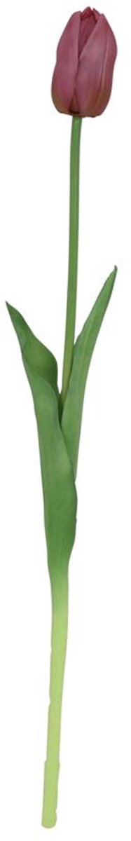 Kunstbloem tulp paars 10x10x47cm