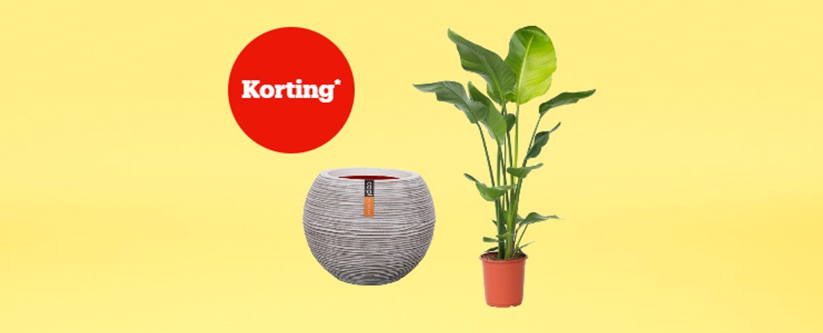 Korting* op