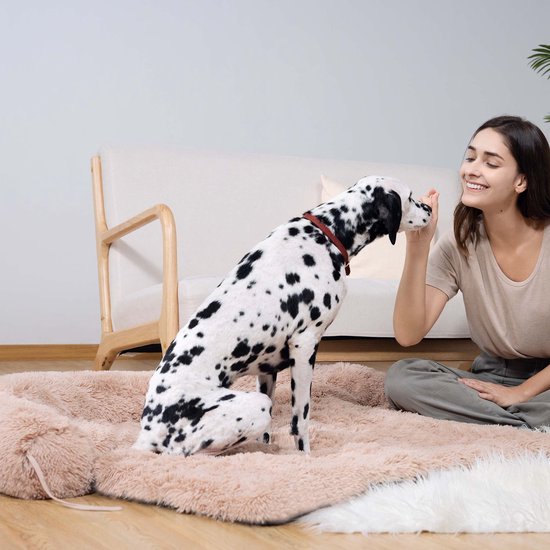Dalmatiër zit op een roze hondenmand, vrouw reikt naar de hond.