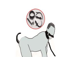BDSM Pet play set hond - dog play - ball gag - buttplug - chains - Bondage set - kinky - fetisj - puppy training