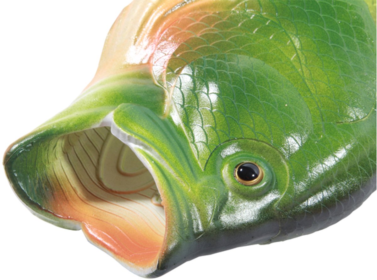Fish Slippers 40/41 | Visschoenen