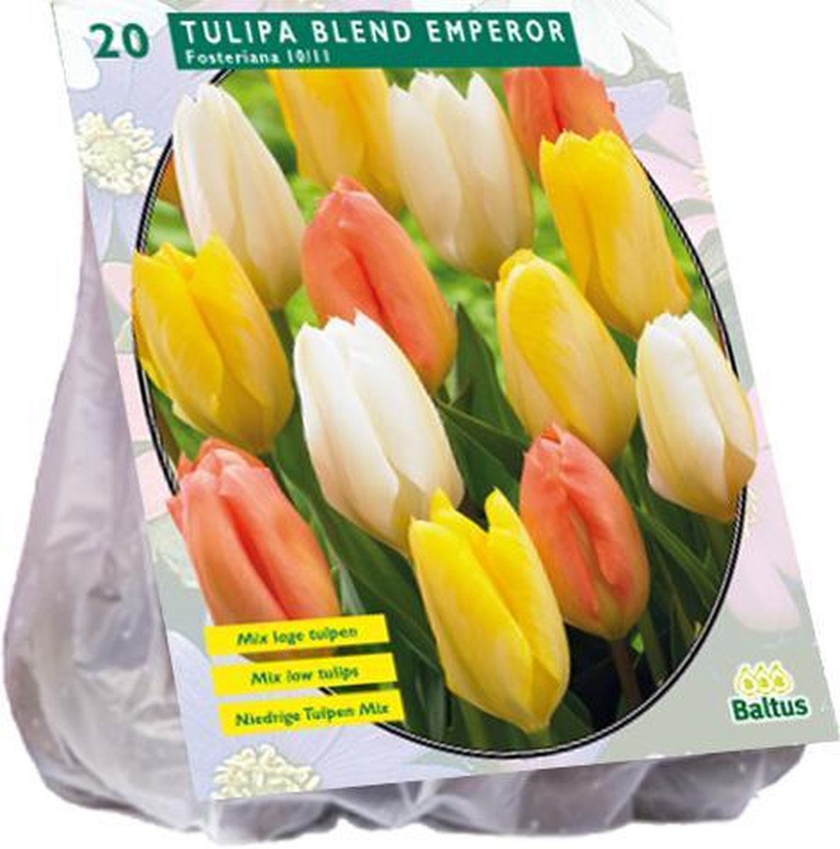 Tulipa (Tulpen) bloembollen - Blend Emperor 40 stuks