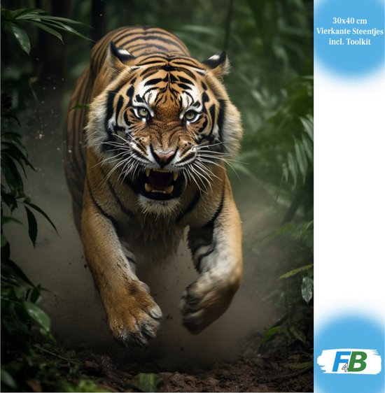 Een tijger die uit de jungle springt, met het opschrift '30x40 cm Vierkante Steentjes incl. ToolKit'.