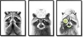 Ibenzoa® Humoristische Zwart-Wit Badkamerdecoratie op Canvas - Grappige Wasbeer Toilet Poster Set van 3